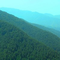 Green Valley ,Shimla 2012,May