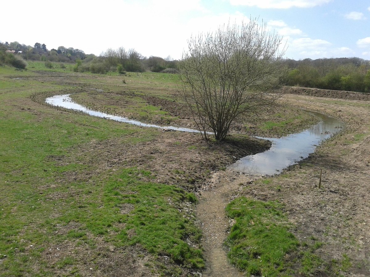 Millfield Nature Reserve Basingstoke All You Need To Know