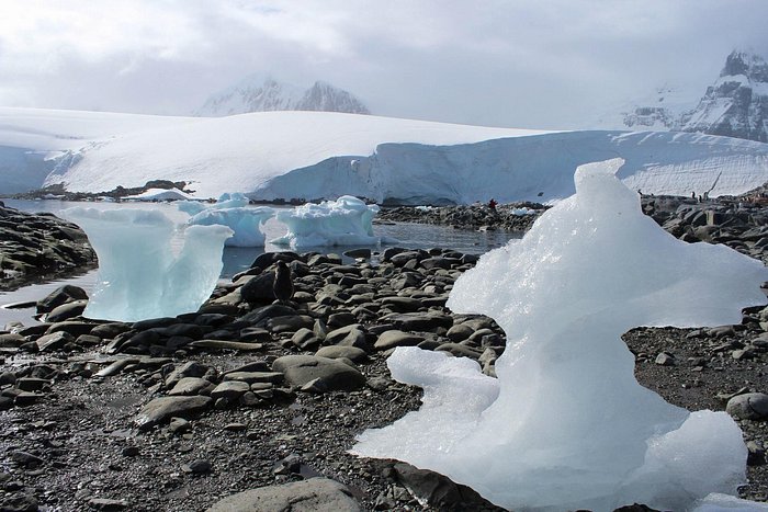 bizarre Eisscholle​n auf Wiencke Island