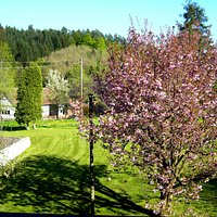 Blick aus unserem Zimmer