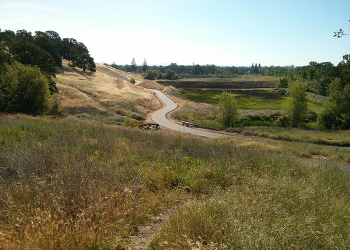 Looking from within Miners Ravine toward Sierra College Blvd