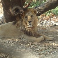 Look at the King