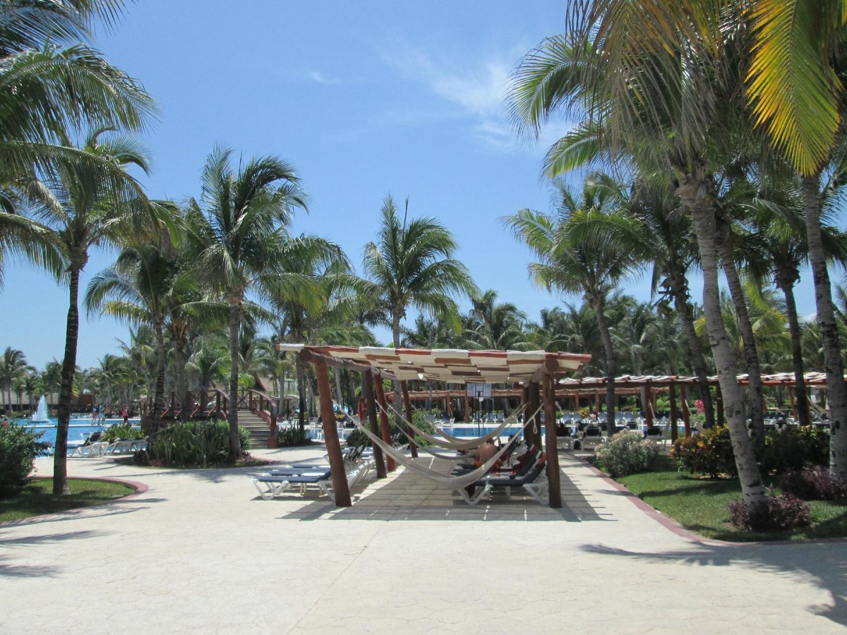 Barcelo Maya Caribe Diving: Pictures & Reviews - Tripadvisor