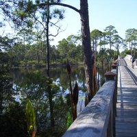 Timpoochee Trail (Inlet Beach) - All You Need to Know BEFORE You Go