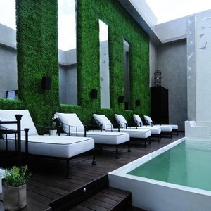 Piscina y Solarium / Pool and Solarium