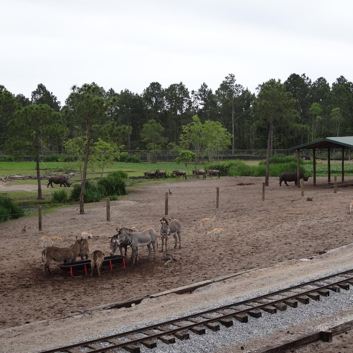 pensacola zoo