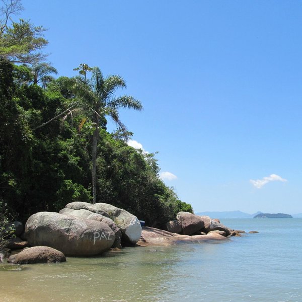 Praia Palmas Do Arvoredo Qué Saber Antes De Ir 2025