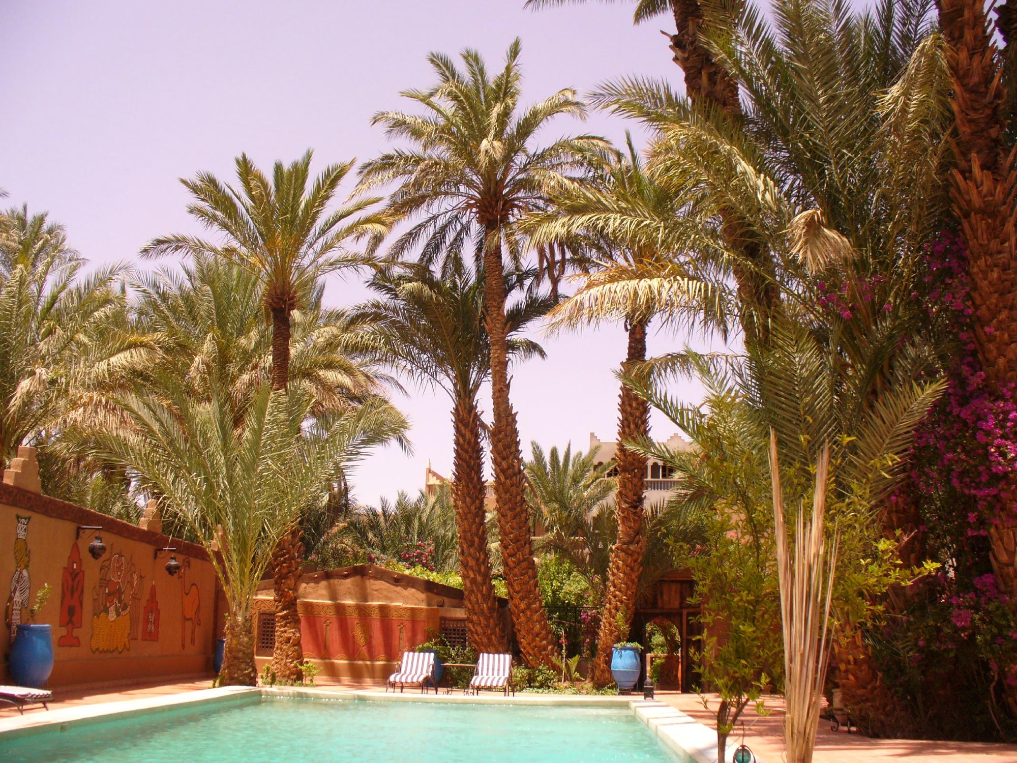 Hotel photo 14 of Chez Ali.