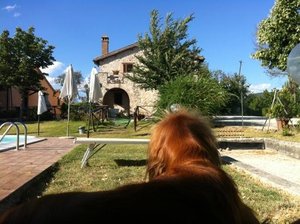 Viaggiatori