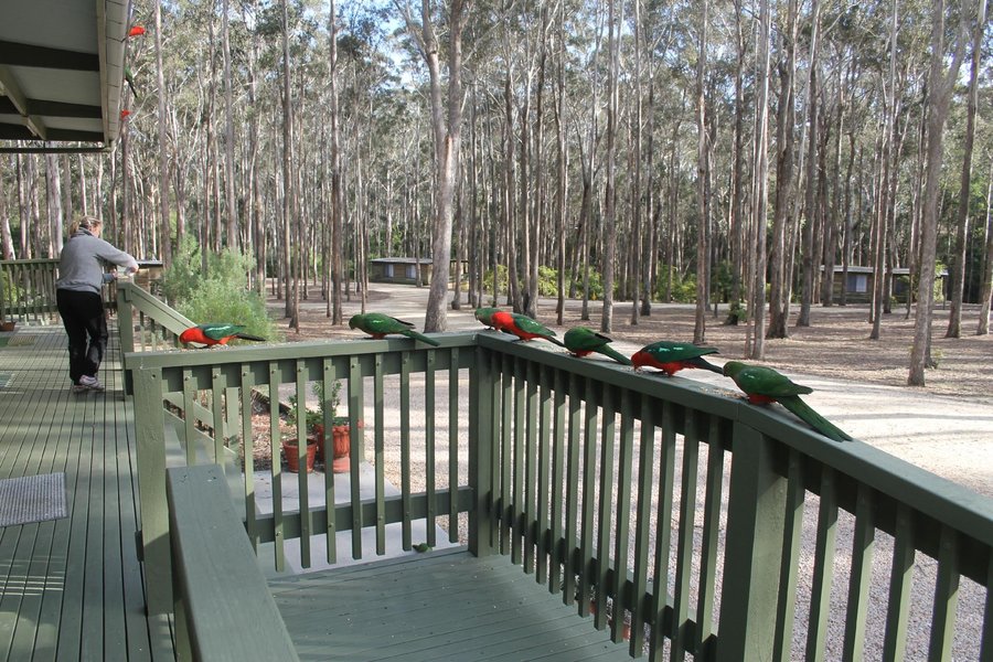 Lakes Entrance Log Cabins Updated 2020 Campground Reviews Australia Tripadvisor