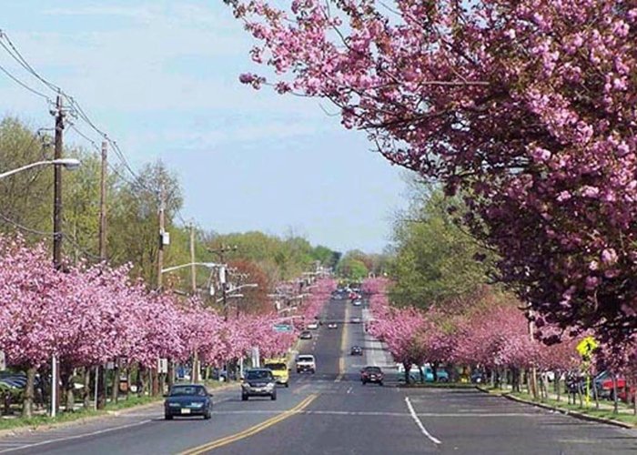 Cherry Hill, NJ: Tourismus in Cherry Hill - Tripadvisor