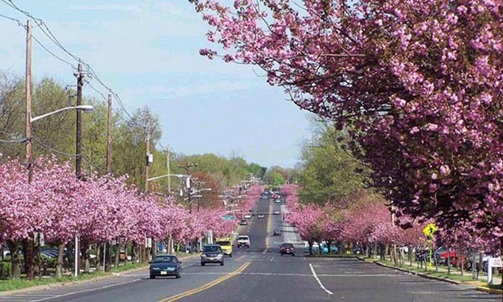 Turismo en Cherry Hill 2021 - Viajes a Cherry Hill, Nueva Jersey - opiniones, consejos y 