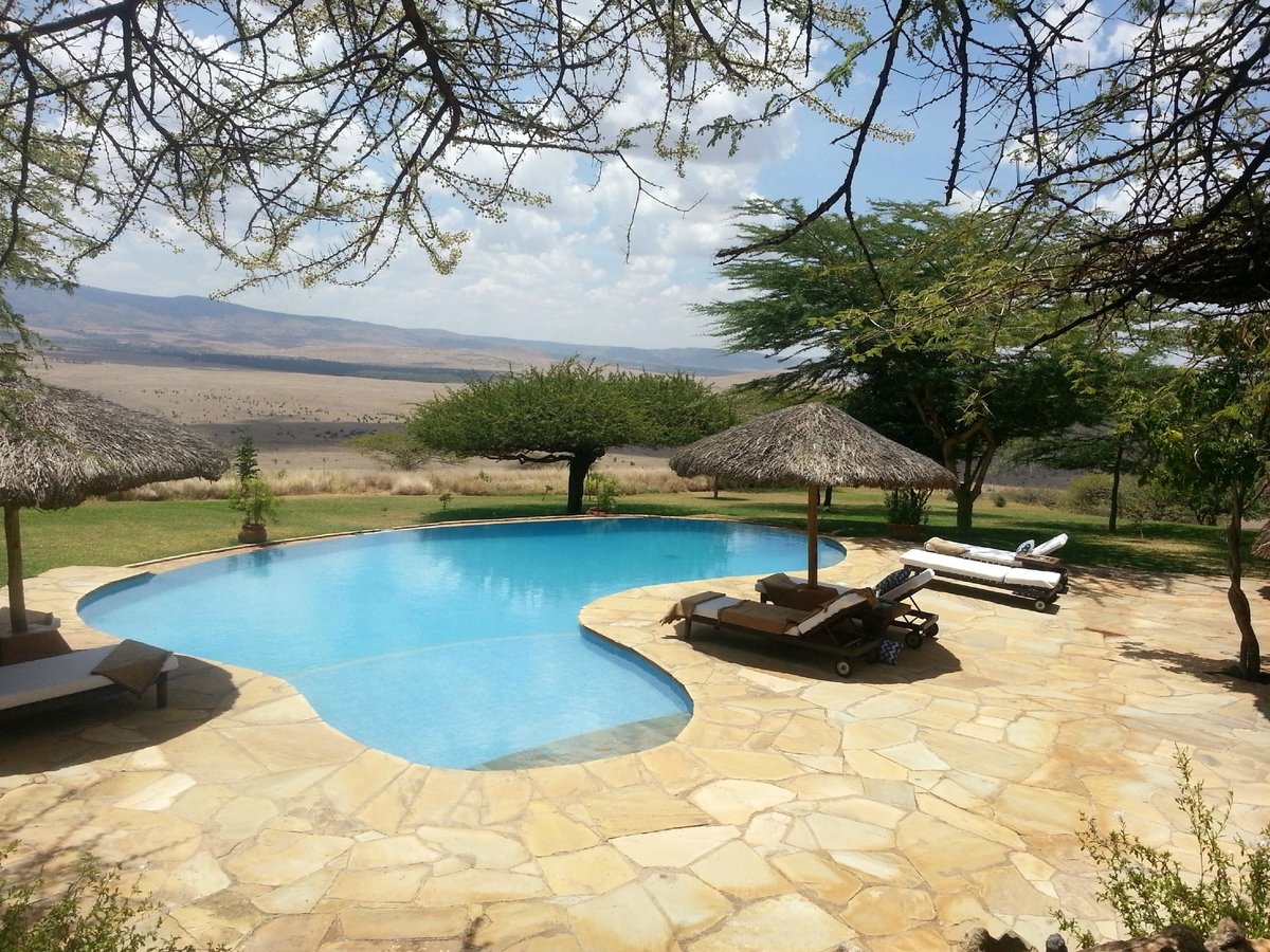 Elewana Kifaru House Pool: Pictures & Reviews - Tripadvisor