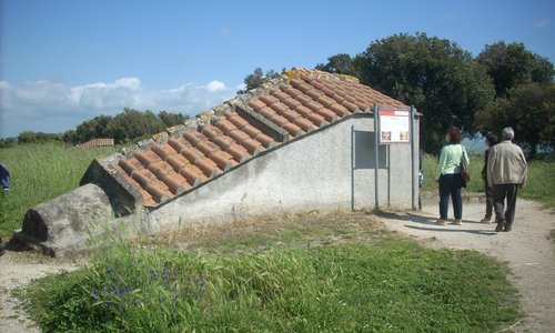 Necropoli