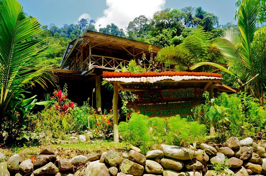 Back To Nature Ecotourism Bewertungen Fotos Preisvergleich Bukit Lawang Sumatra Tripadvisor