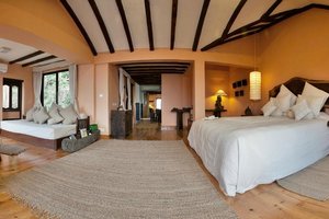 Room & Suite