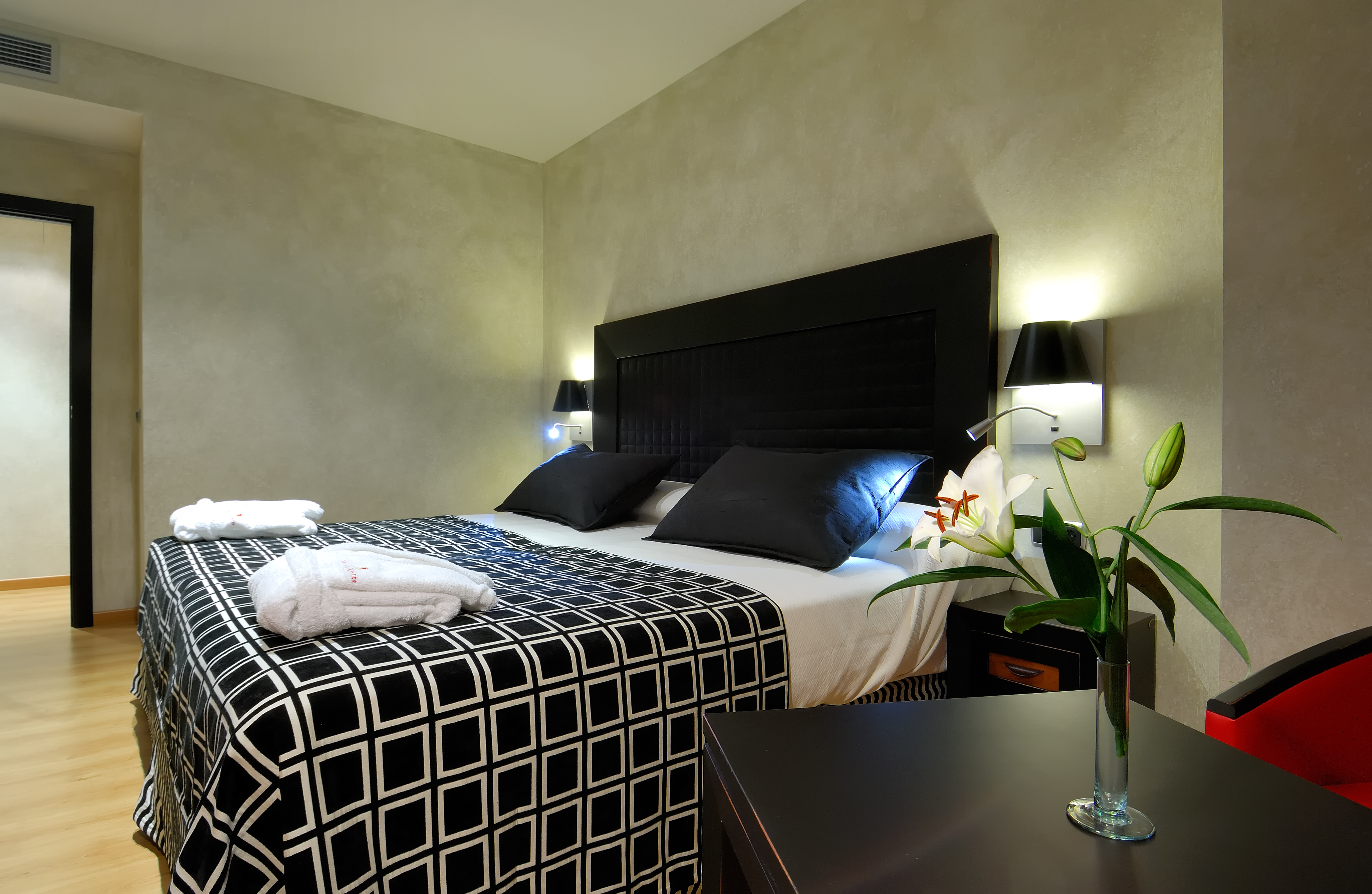 Hotel photo 102 of Salles hotel Malaga Centro.