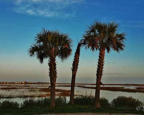 places to visit in murrells inlet sc