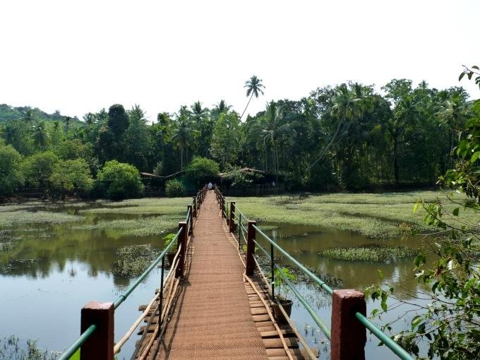Tropical Spice Plantation (Ponda) - All You Need to Know BEFORE You Go