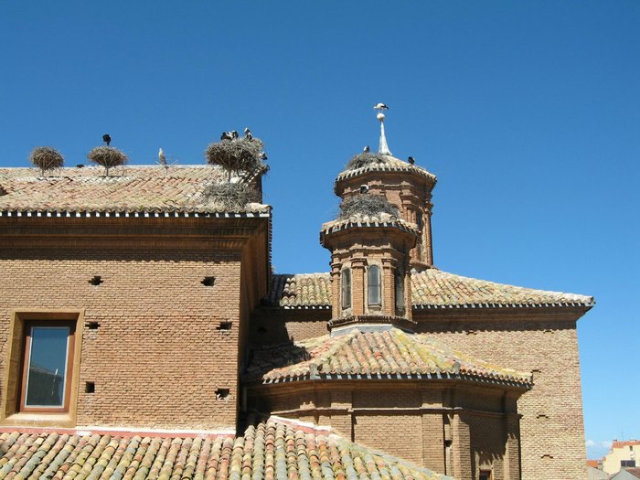 Imagen 5 de Mirador de las Cigüeñas