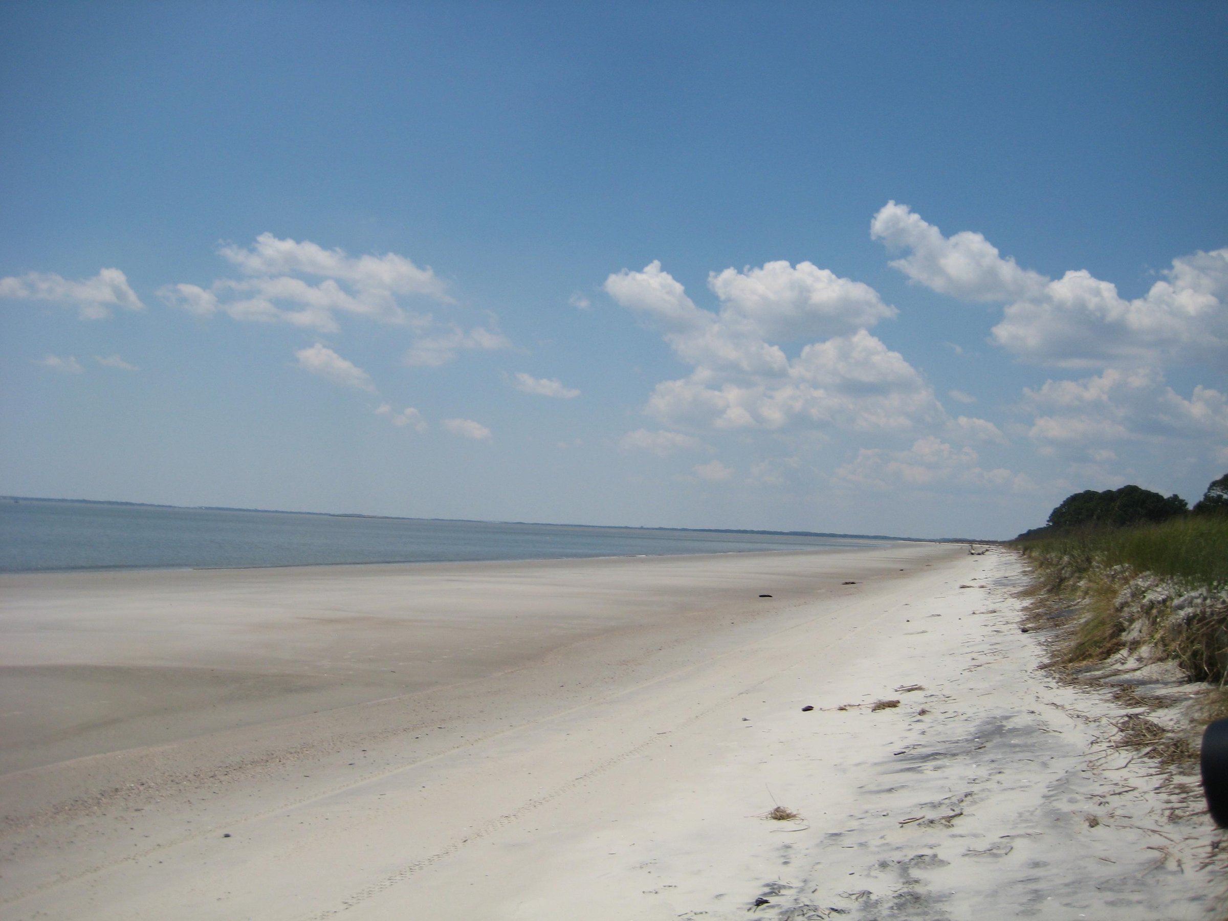 Calibogue Cruises (Hilton Head) - All You Need to Know BEFORE You Go