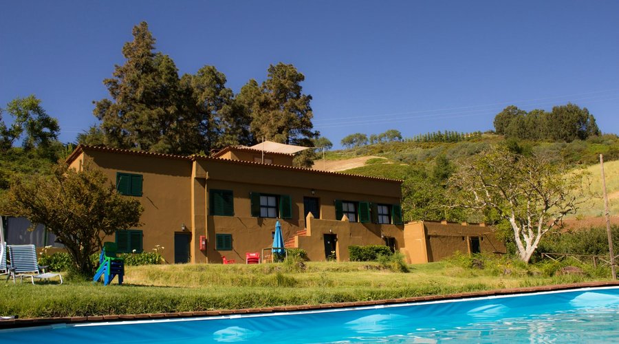 los arboles como los de la cabaña del abuelo de Heidi