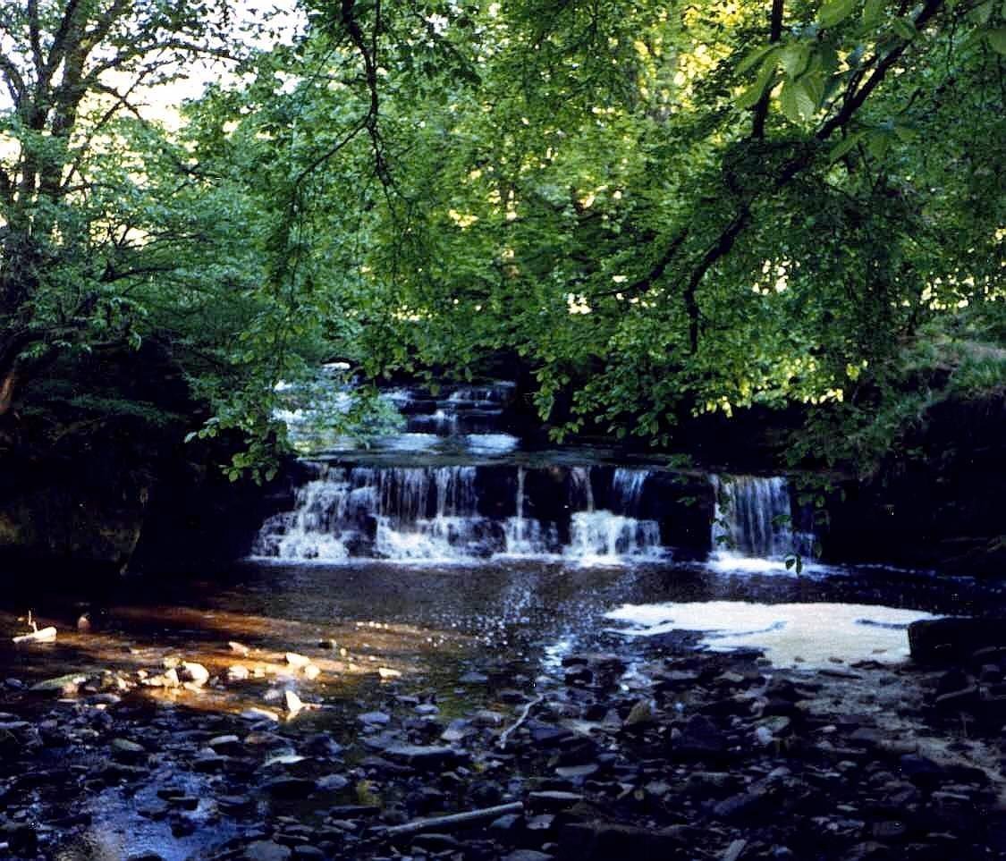 Calderglen Country Park - O que saber antes de ir (2025)