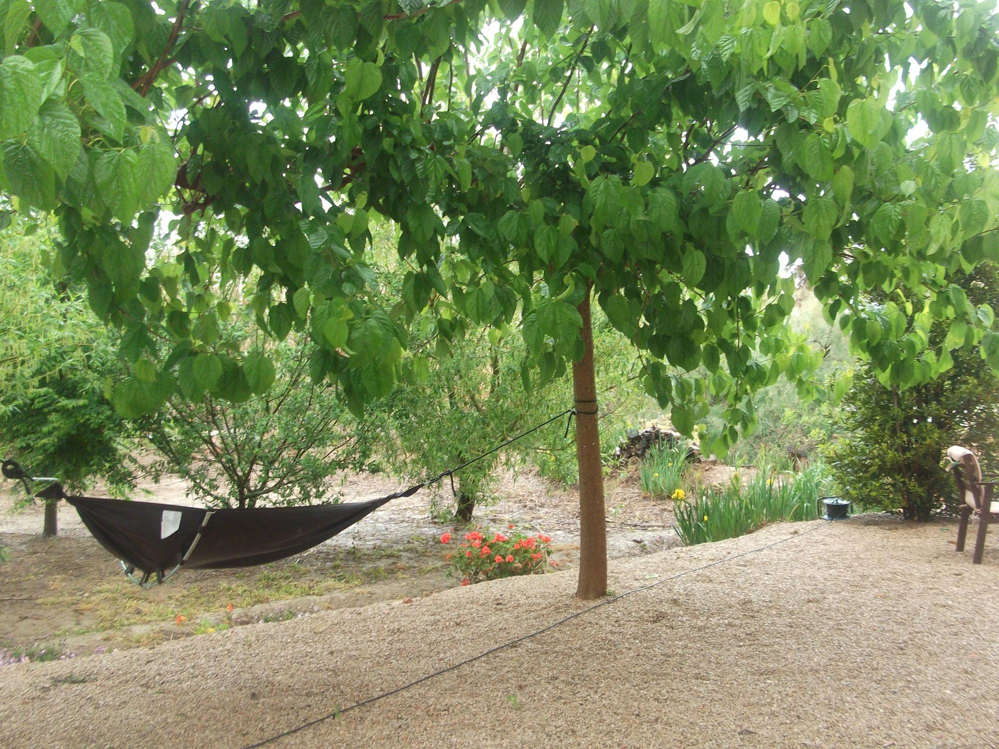 Hotel photo 33 of Mas del Tancat.