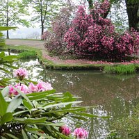 parco della burcina