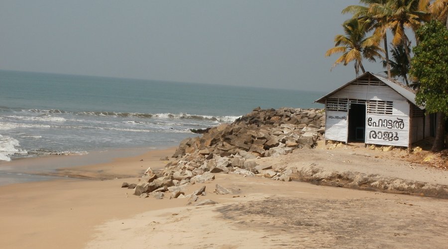 toddy near beach..