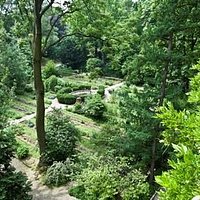 Provided by: Orto Botanico di Brera