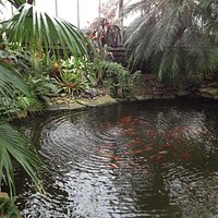 Tropical Garden