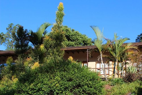 Mvubu Falls Lodge image