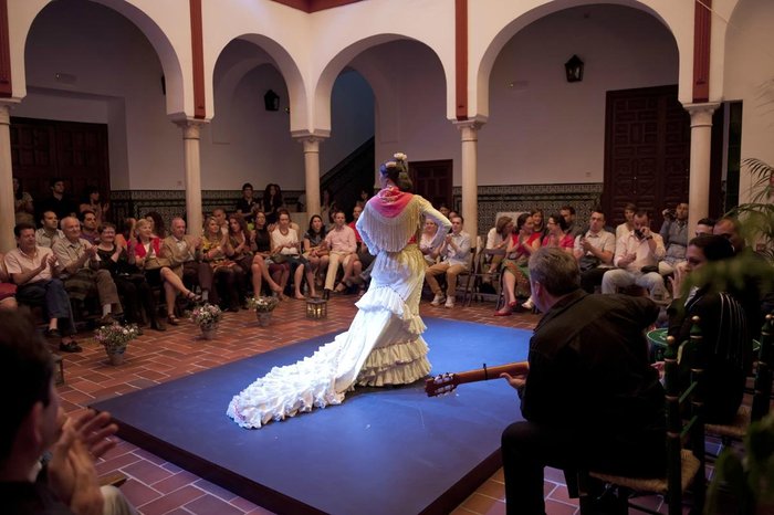 Imagen 5 de La Casa del Flamenco