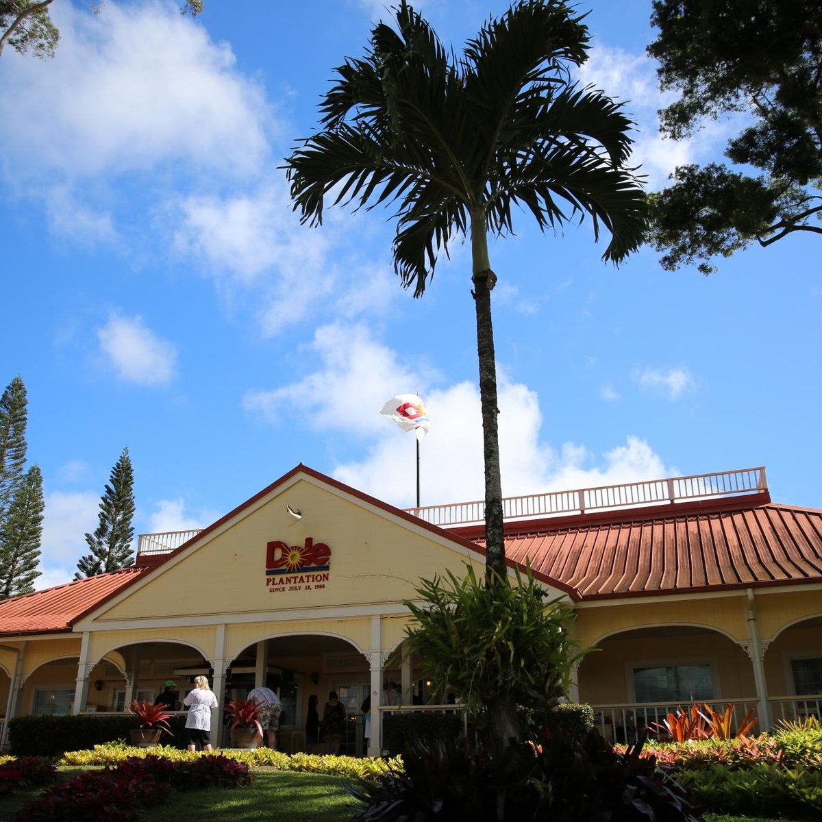 Dole Plantation: An Unforgettable Hawaiian Adventure With Admission Fee Details