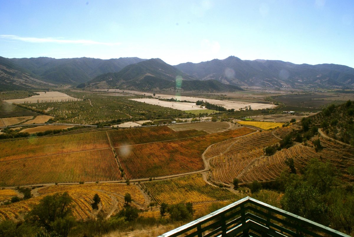 Top Attractions in Chile for European Travellers - Wine Tasting in the Colchagua Valley