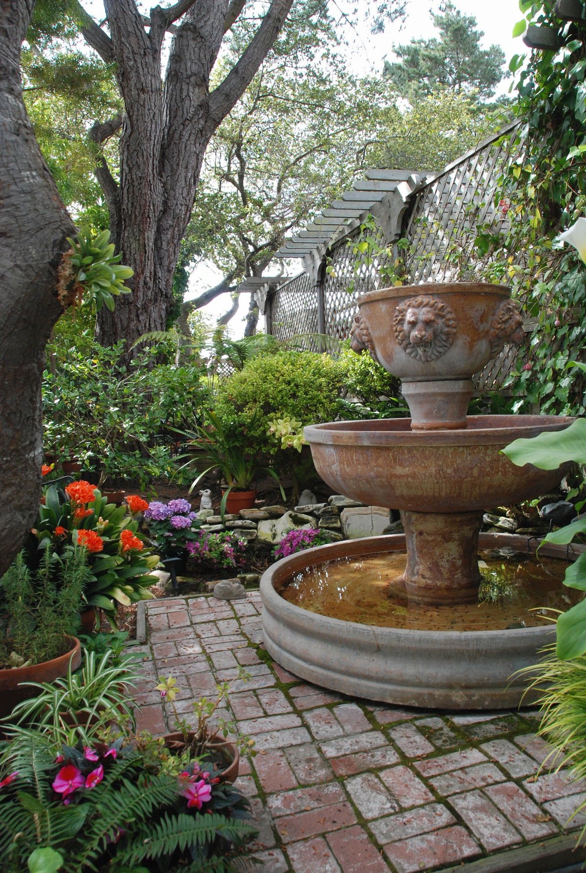 Carmel Garden Inn Rooms: Pictures & Reviews - Tripadvisor