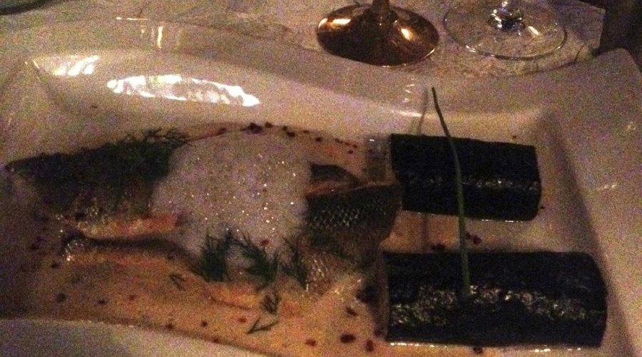 sea bass
