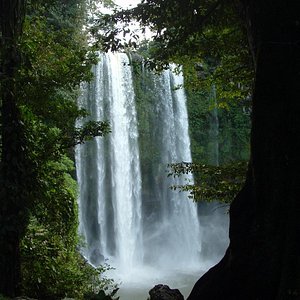 View of the top of the waterfall from the front