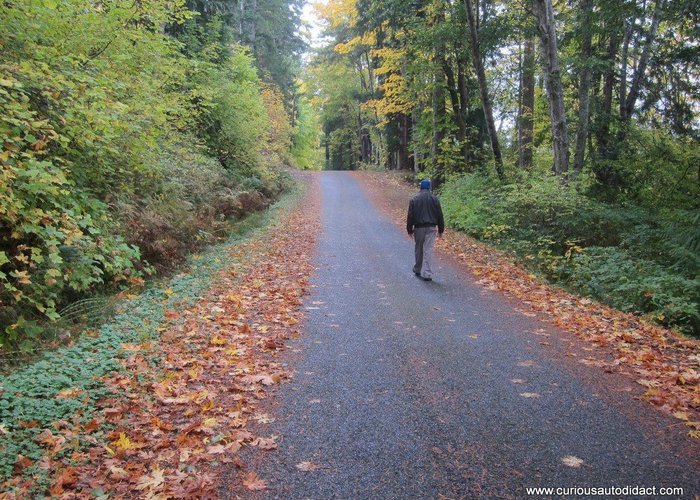 Take a fall stroll along a quiet country road