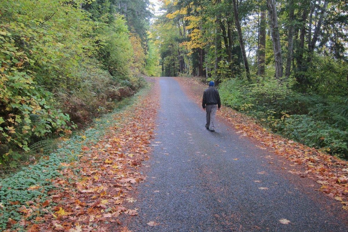 Land For Sale Quilcene Wa