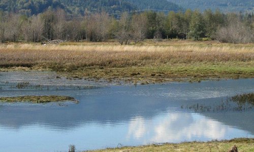 Head of Quilcene Bay, in Quilcene WA