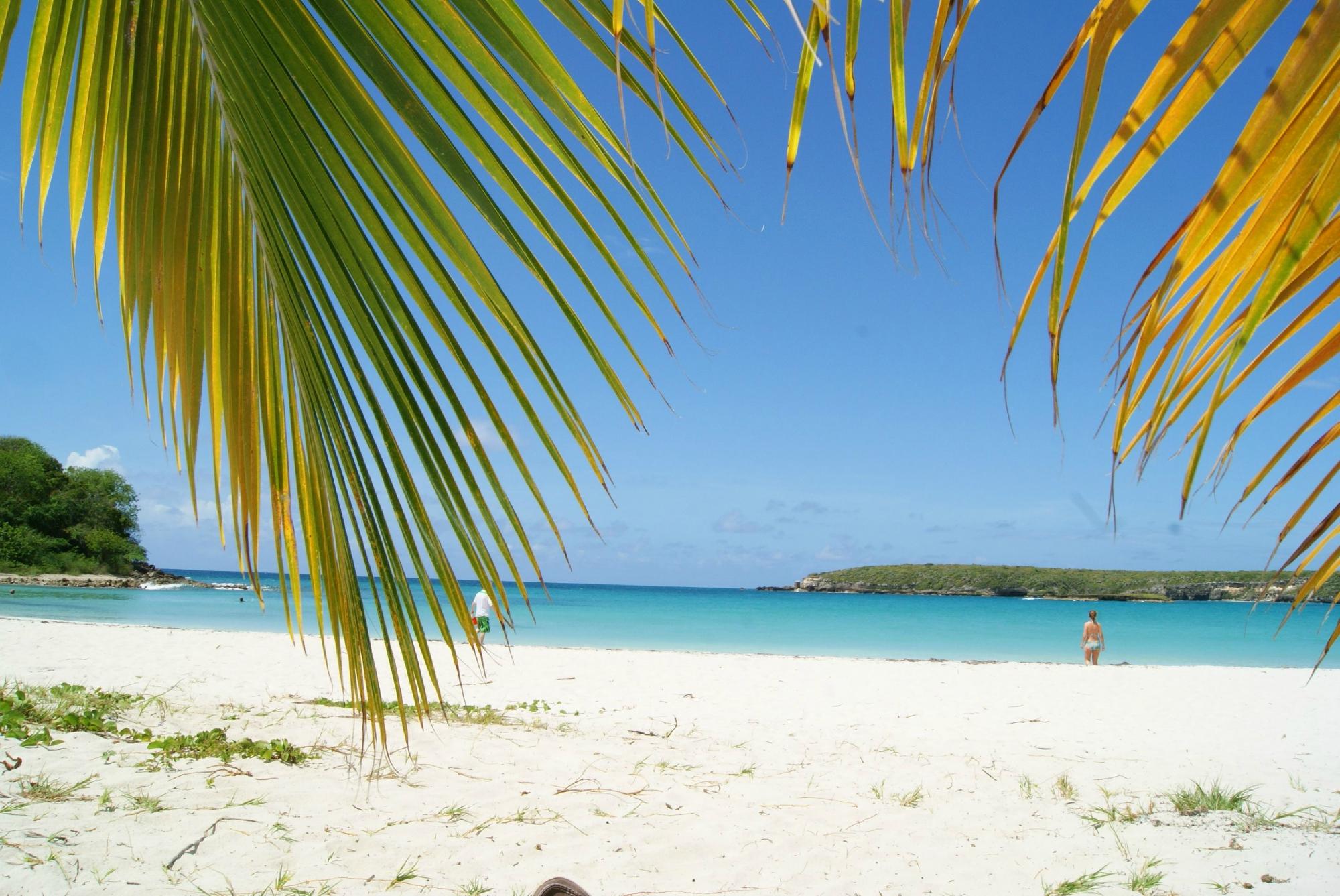 THE 10 BEST Hotels in Isla de Vieques for 2024 from C 131