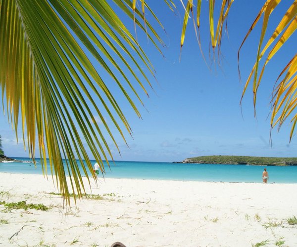 THE 15 BEST Things to Do in Isla de Vieques (2024)