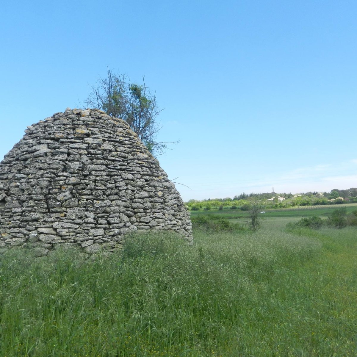 Truffles of Uzes (2024) All You Need to Know BEFORE You Go