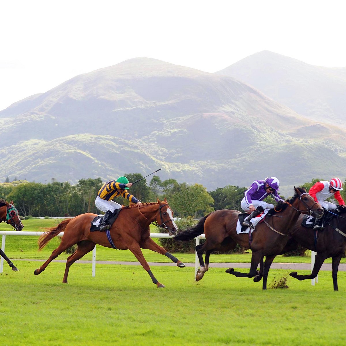 Killarney Racecourse 2021 All You Need to Know Before You Go (with