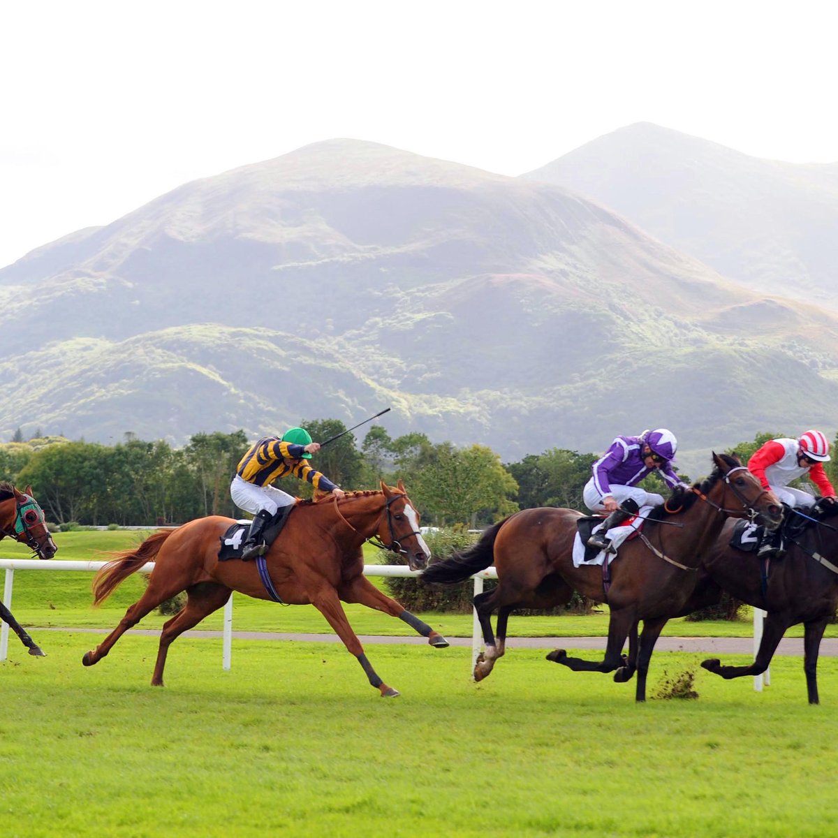 Killarney Racecourse 2021 All You Need to Know BEFORE You Go (with