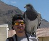 RaffoNunez