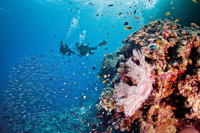 Great Barrier Reef 2024: Best Places to Visit - Tripadvisor