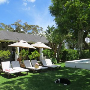 The garden